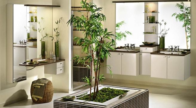Plantas para el baño: ¿Cuáles son las mejores?