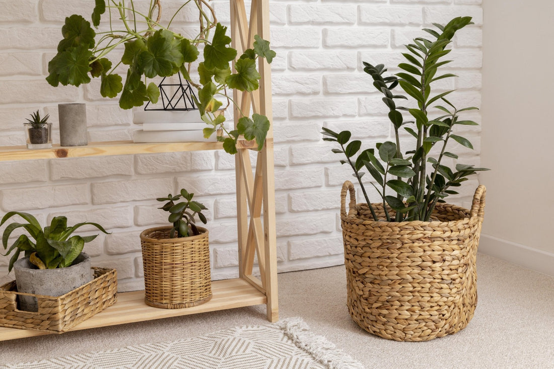 Imagen de plantas en el baño