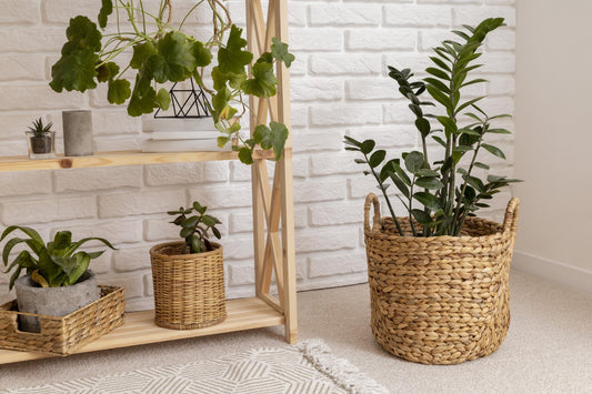 Imagen de plantas en el baño