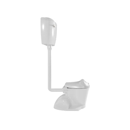 Inodoro infantil con cisterna Froggy