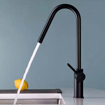 Grifo de cocina Kenia